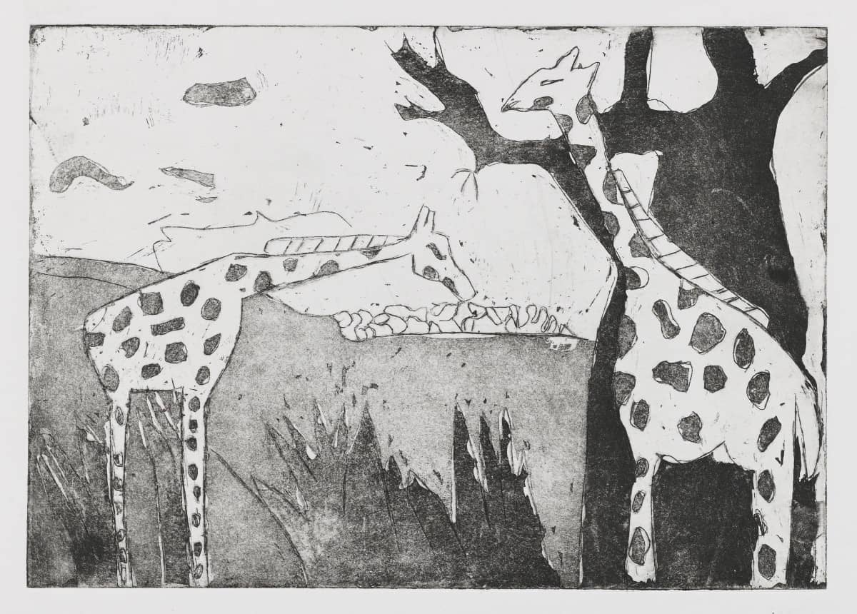 Gravure - Girafes - Eau forte et aquatinte